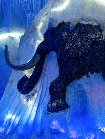 Mamut en Sealand