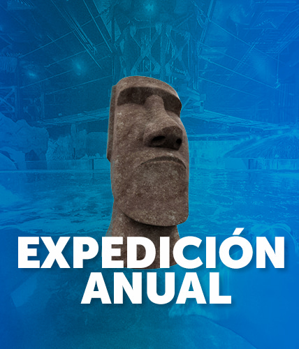 EXP ANUAL MOVIL