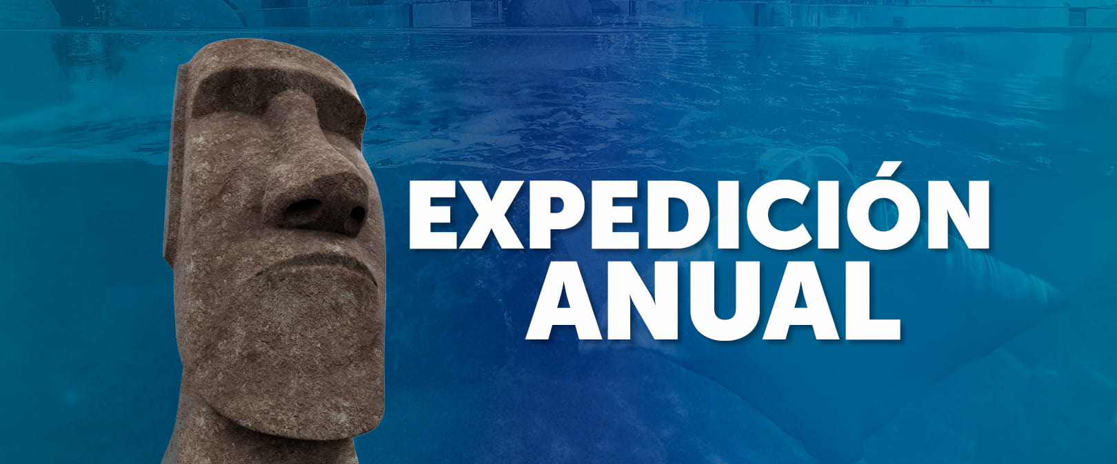 EXPEDICION ANUAL