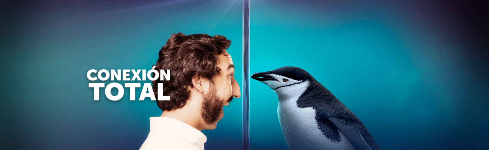 PINGUINO (2)
