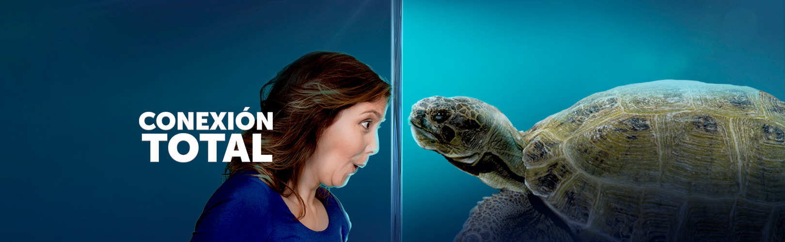 TORTUGA (1)