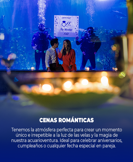 CENA-ROMANTICA-2.png