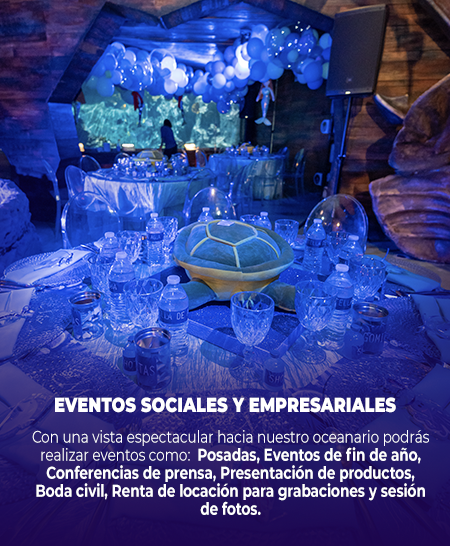 EVENTOS SOCIALES Y EMPRESARIALES