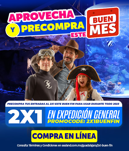 BANNER MOVIL