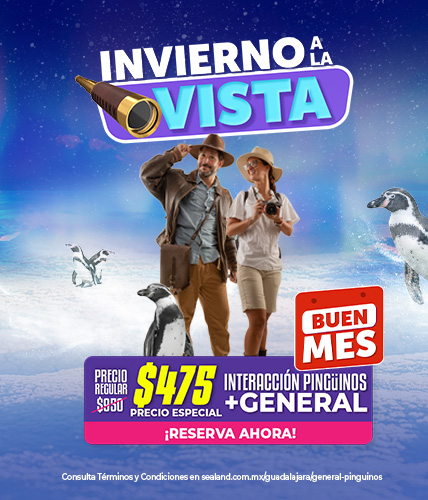 BANNER MOVIL