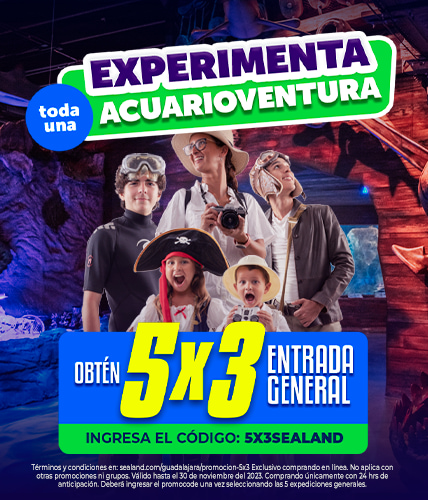 BANNER MOVIL 5X3