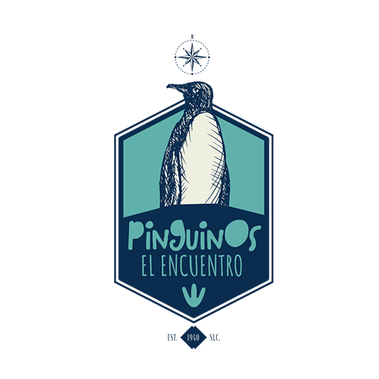 ENCUENTRO PINGÜINOS