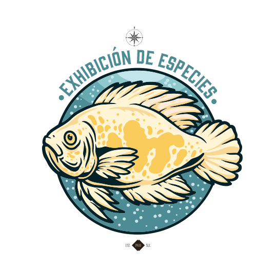 EXHIBICION DE ESPECIES