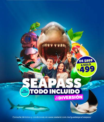 Seapass_Sealand_guadalajara_movil (1)