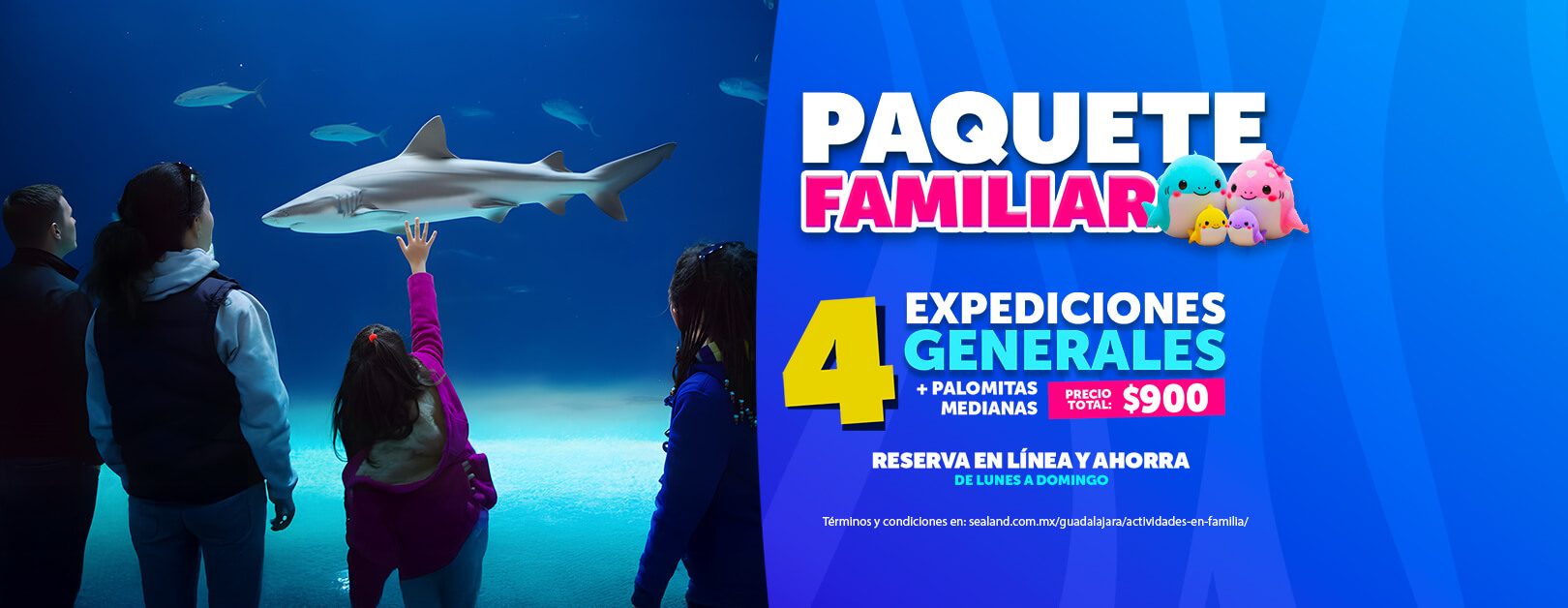 combo-paquete-familiar-sealand-gdl-enero2026-desktop