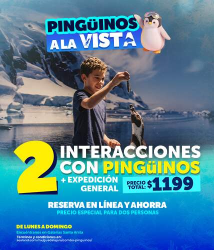promo-comboping-sealand-gdl-enero2026-mobile
