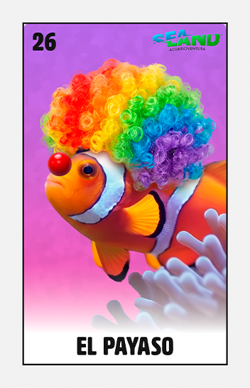 PEZPAYASO-SEALANDGDL