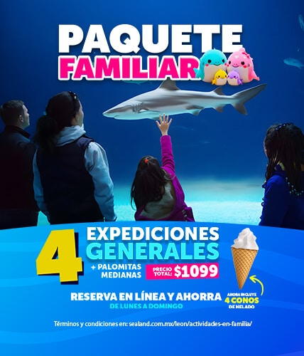 promo-paquete-familiar-sealand-leon-enero2026-mobile