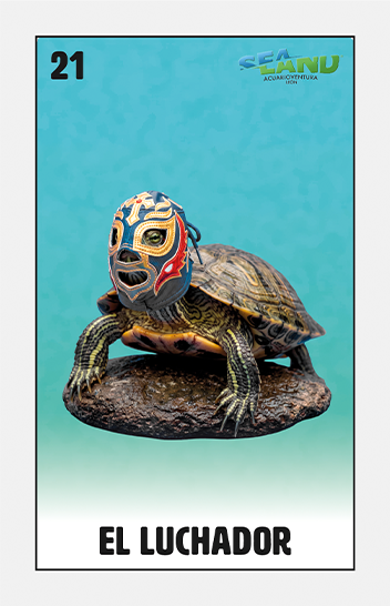 luchador-leon