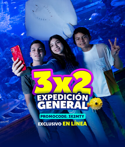 promo-3x2-sealand-mty-enero2026-mobile