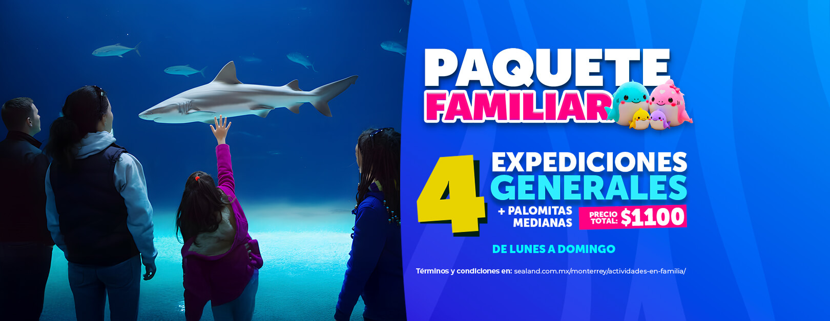 promo-paquete-familiar-sealand-mty-enero2026-desk