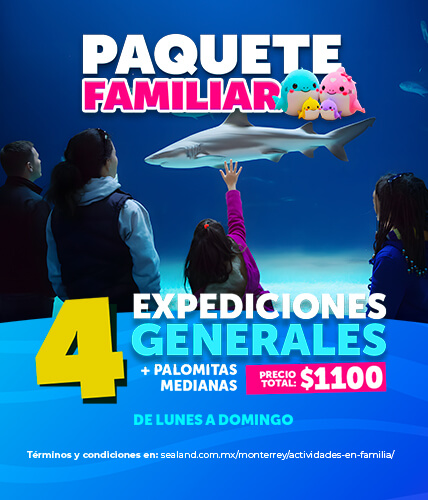 promo-paquete-familiar-sealand-mty-enero2026-mobile