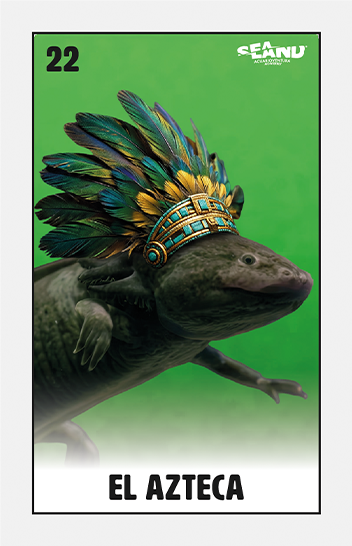 azteca-sealandmty