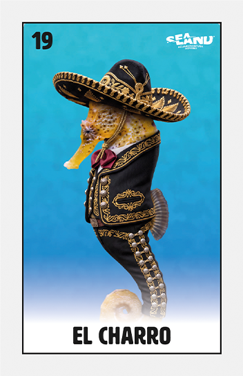 elcharro-sealandmty